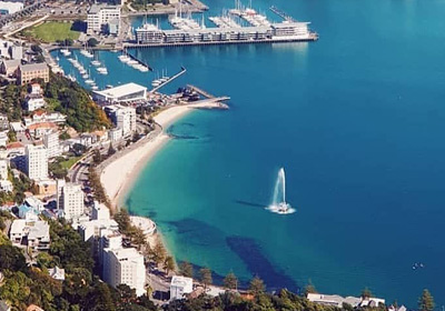 wellington